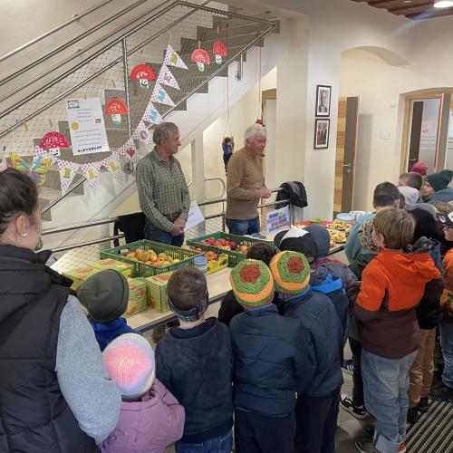 Kinder stehen vor den Tischen mit den Kostproben der Äpfel