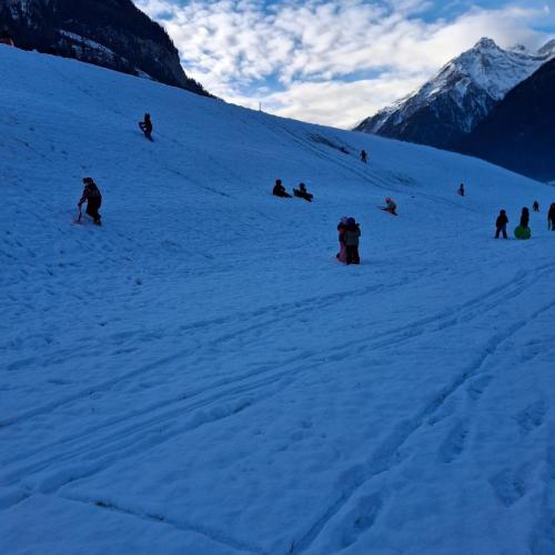 Kinder rutschen einen Hang mit dem Rutschteller hinunter. (2)