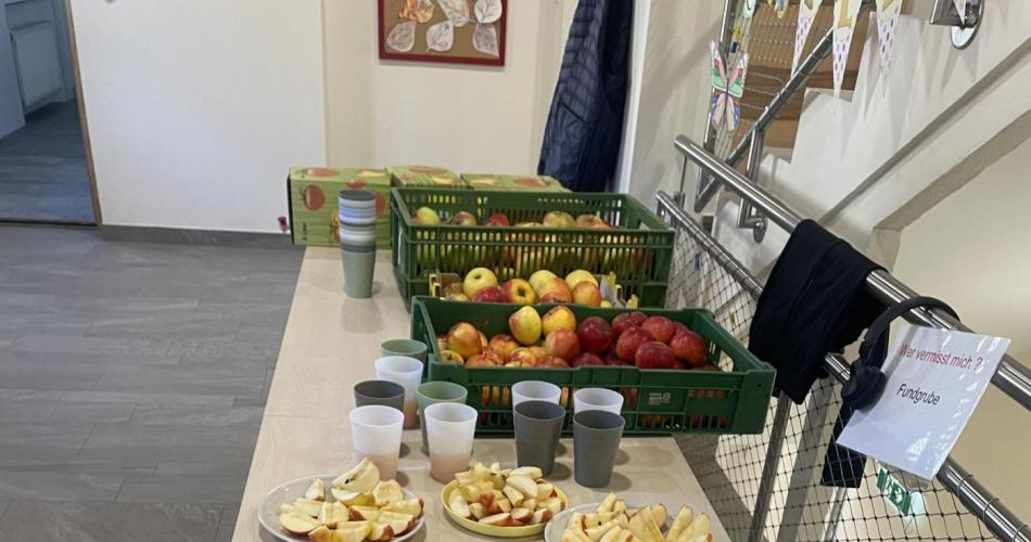 Apfelstücke und Äpfel zur Verkostung am Tisch