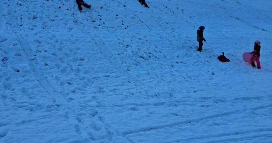 Kinder rutschen einen Hang mit dem Rutschteller hinunter. (1)